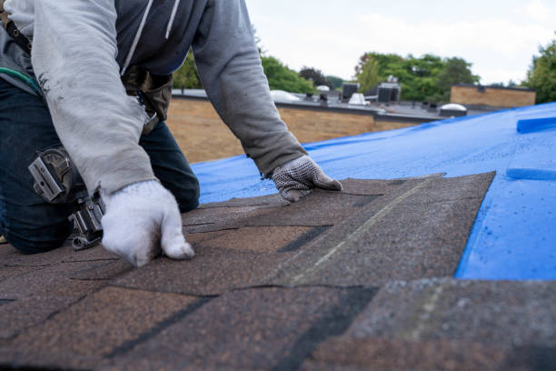 Best Metal Roofing Contractor  in Verona, KY